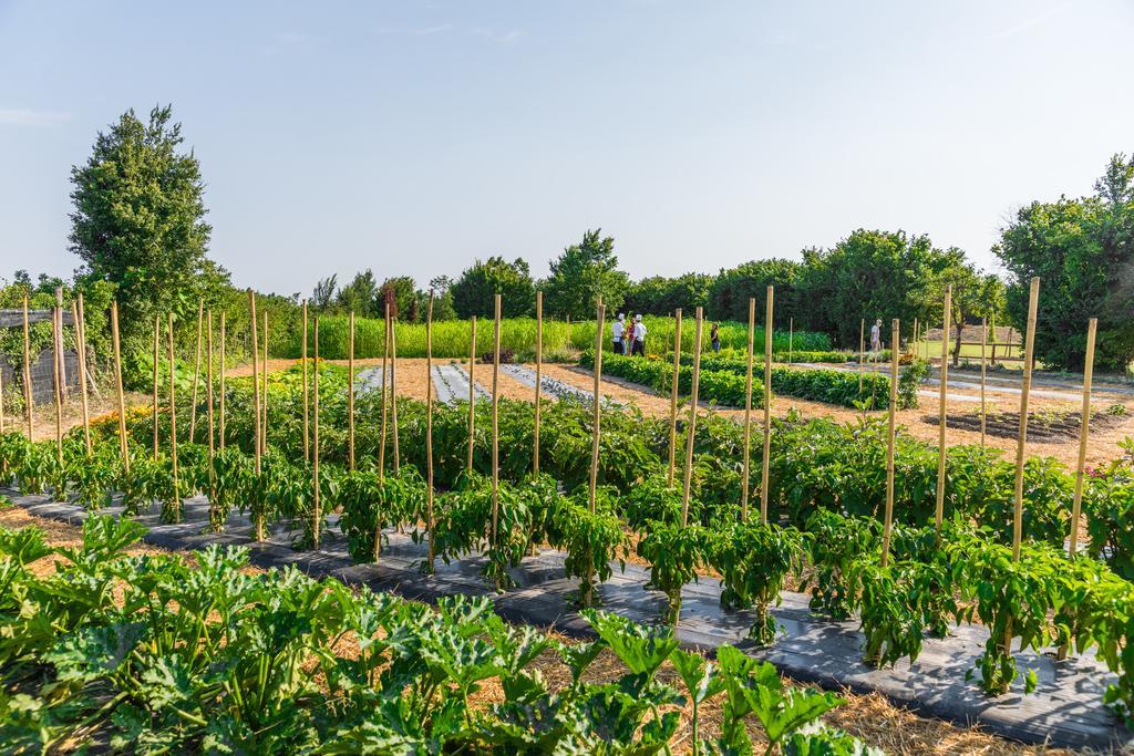 לינה וארוחת בוקר Legnaro La Posa Degli Agri מראה חיצוני תמונה